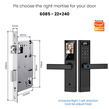 Facial Recognition Video call Automatic Door Lock TUYA Front Door Fingerprint Smart Lock Digit Camera Visible Inner Screen