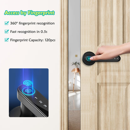 Smart Lock,CATCHFACE Fingerprint Door Lock,G01PL Pro Smart Lock(Black)