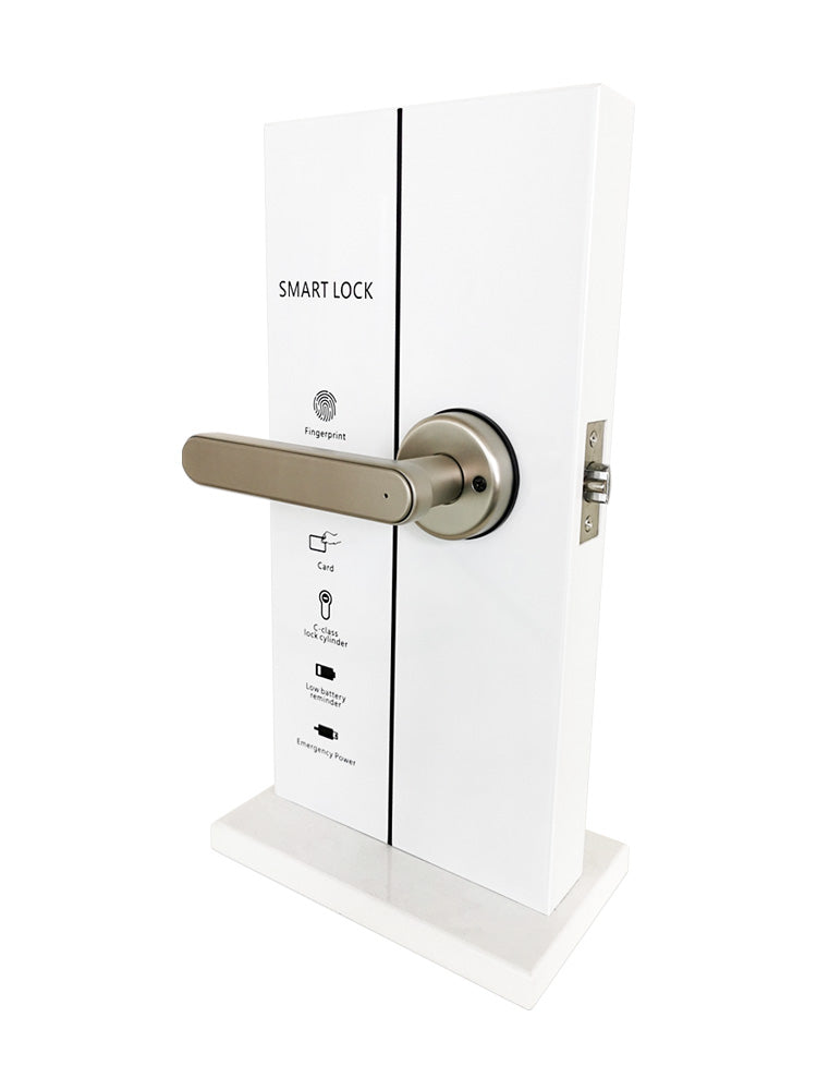 G01PL Smart Lock